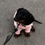 Telegram profile photo for Помощь Люсе