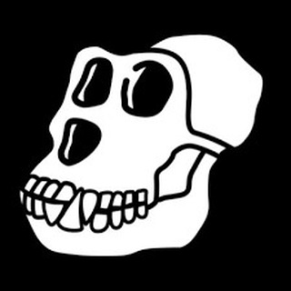 Telegram profile photo for Marino - Crypto News