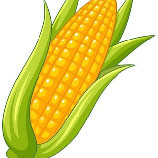 Telegram profile photo for QUALITY CORN