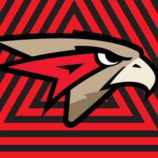 Telegram profile photo for Вперёд, наш Омский «Авангард»!
