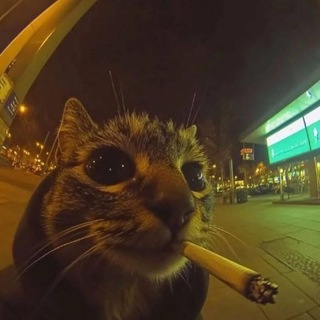 Telegram profile photo for Кехыч рисует