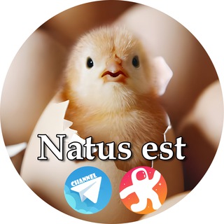 Telegram profile photo for Natus est IT