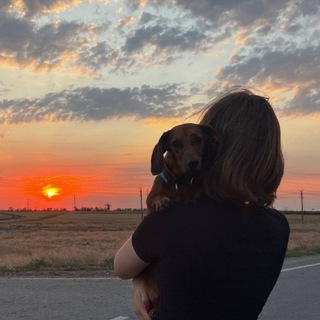 Telegram profile photo for псина лоло