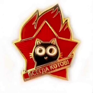 Telegram profile photo for Всегда котов! 🐈 | Про котиков🐾