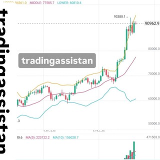 Telegram profile photo for trading assistan