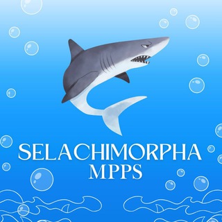 Telegram profile photo for 𝗦𝗘𝗖𝗣𝗛𝗔 𝐌𝐏𝐏𝐒