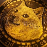 Telegram profile photo for Wow money