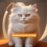 Telegram profile photo for Ивановские котики (помощь бездомным кошкам)