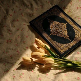 Telegram profile photo for " مُذكراتي "