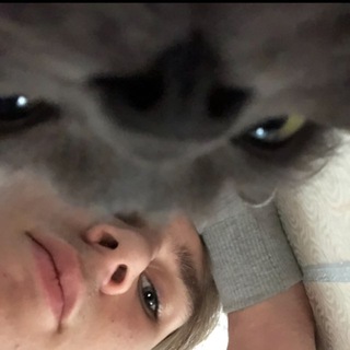 Telegram profile photo for vitekkotik