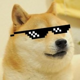 Telegram profile photo for DogeChain Bangerz