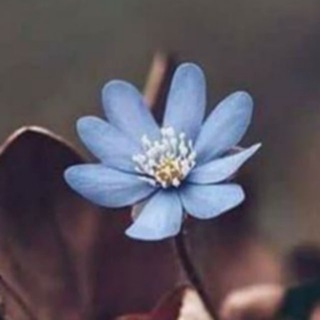 Telegram profile photo for Be in your Heart