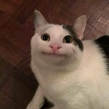 Telegram profile photo for Don't froget me..