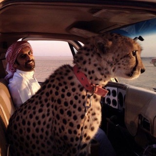 Telegram profile photo for صَبــوَةُ