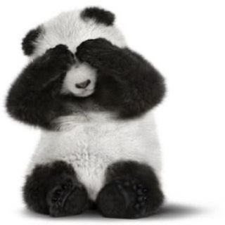 Telegram profile photo for #𝖕𝖆𝖓𝖉𝖆_🐼 ‧₊˚𝖎𝖓𝖙𝖊𝖗𝖆𝖈𝖙𝖎𝖛𝖊˚₊‧