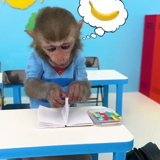 Telegram profile photo for L1B chart spam