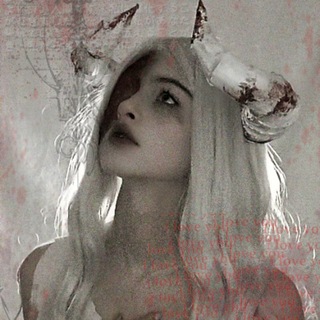 Telegram profile photo for Silver butterfly🪽