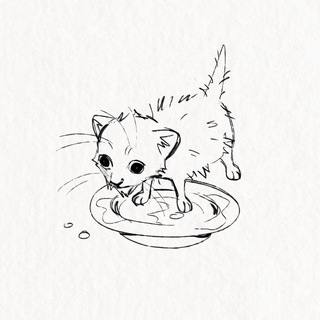 Telegram profile photo for racccooon