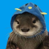 Telegram profile photo for $OTTO Portal