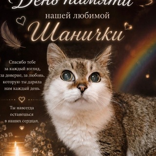 Telegram group profile photo for Шанти ❤️ В память о кошке ,которая хотела жить.