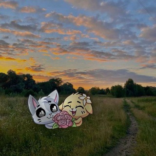 Telegram profile photo for My bio
