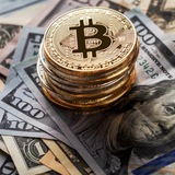 Telegram profile photo for Crypto Signals Free