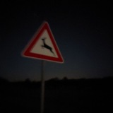 Telegram profile photo for 4ll