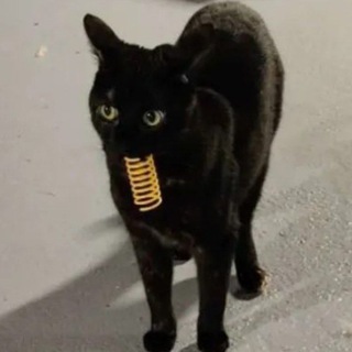 Telegram profile photo for я могу нарисовать
