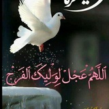 Telegram profile photo for طريق التمهيد