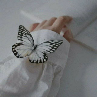 Telegram profile photo for حٍڪآيتي آلُِصغيرة 🤍🦋