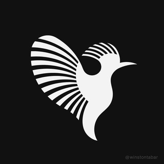 Telegram profile photo for Hoopoe AI