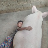 Telegram profile photo for Дарова заебал