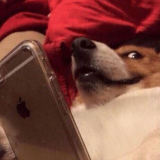 Telegram profile photo for Meme life