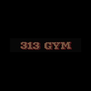 Telegram profile photo for GYM 313
