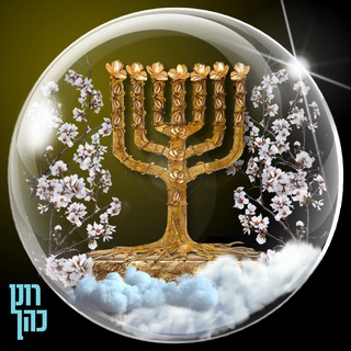 Telegram group profile photo for רונן כהן - שאלה.תשובה