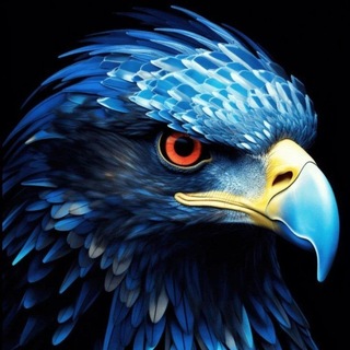 Telegram profile photo for Video Full Durasi