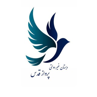Telegram profile photo for سرآمدان پرواز قدس 🕊