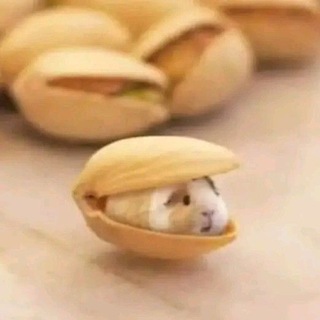 Telegram profile photo for ах