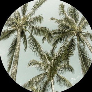 Telegram profile photo for ﴿ أذكُر الله يذكرك ﴾