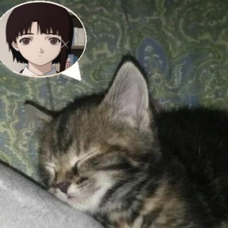 Telegram profile photo for kittens <3