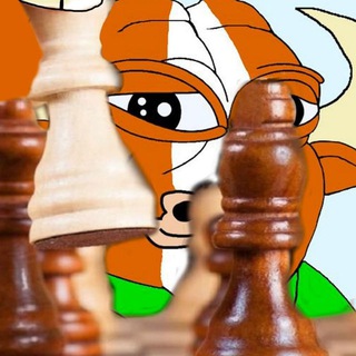 Telegram profile photo for Delusional Bulls Capital