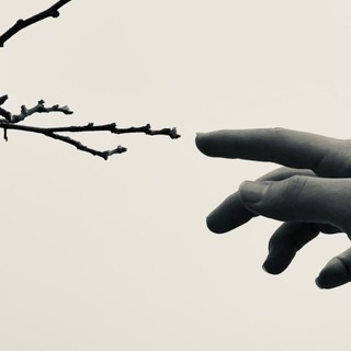 Telegram profile photo for کاژه خیال