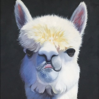 Telegram profile photo for CryptoLama
