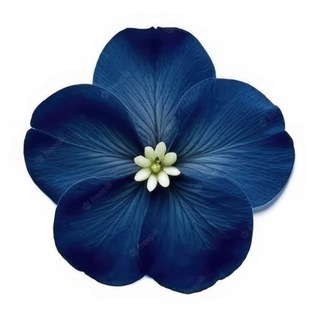 Telegram profile photo for تمارين وتجويد (تصويـب تلاوه)