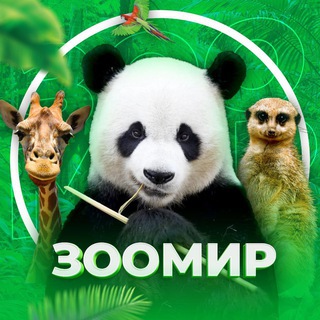 Telegram profile photo for ЖИВОТНЫЕ ДОМАШНИЕ ПИТОМЦЫ