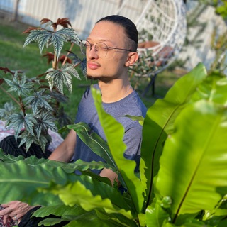 Telegram profile photo for Бриллиантовый зеленый
