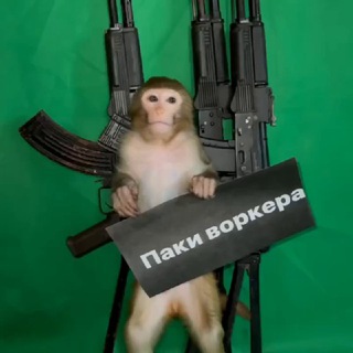 Telegram group profile photo for Чат Паки Воркера