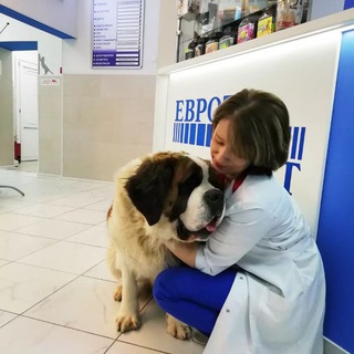 Telegram profile photo for «ЕВРОВЕТ» ветклиника Новосибирск