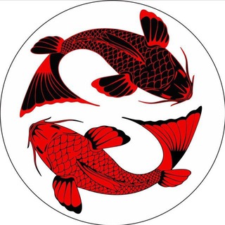 Telegram profile photo for BlackFishKlm 🐠