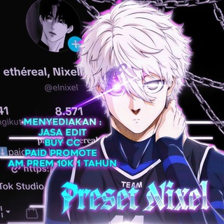 Telegram profile photo for Preset Nixel